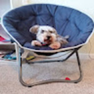 Meet your Posher, Sasha